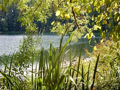 Battleground Lake