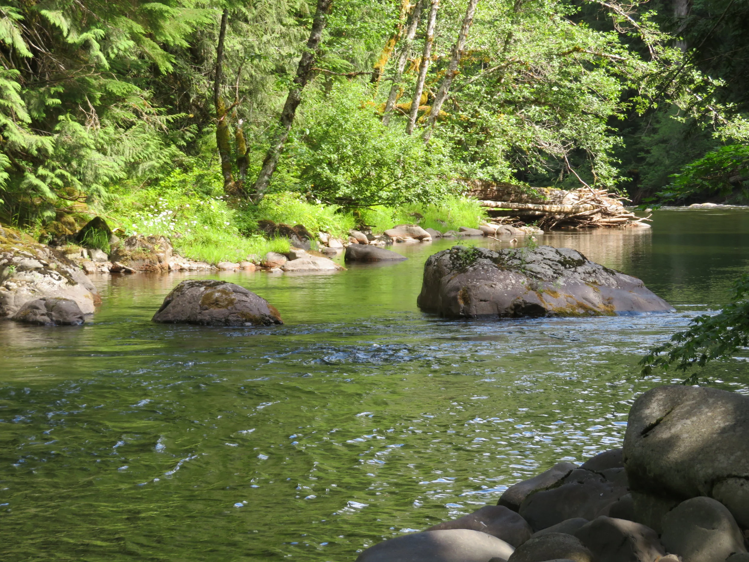 Salmon River