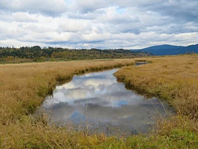 Stream, Steigerwald Wildlife Refuge