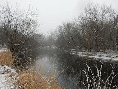 Salt Creek, Fullersburg Woods, Illinois