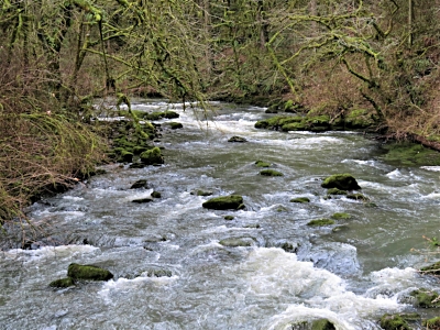 Lacamas River