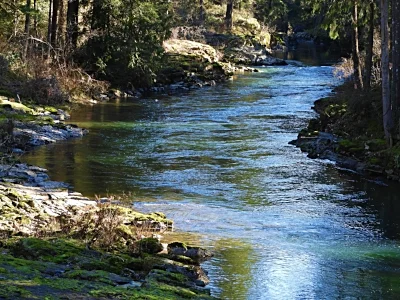 Lewis River