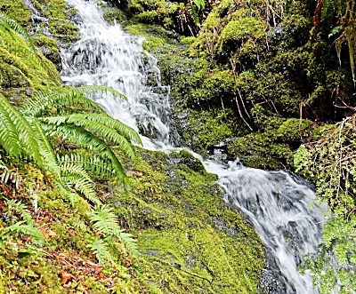 Waterfall, Salmon River Trail