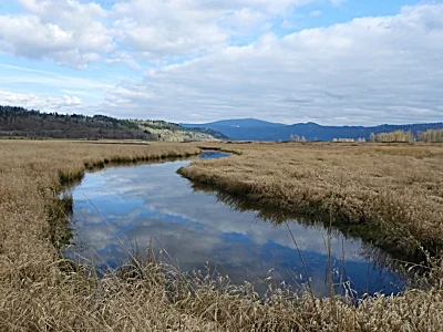Stream, Steigerwald Wildlife Refuge