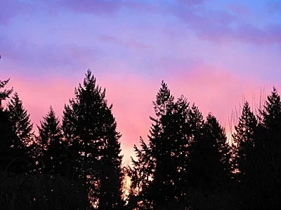 Sunrise, Neighborhood