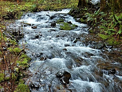 Stream, Lucia Falls