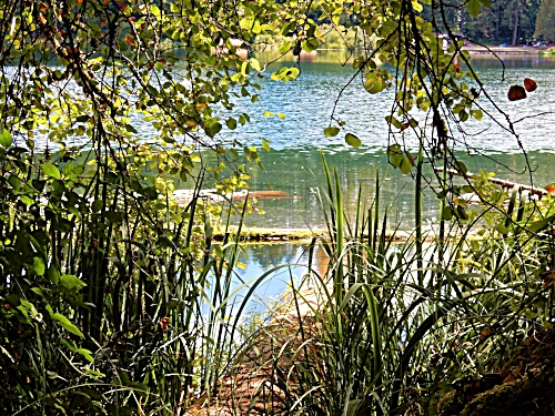 Battleground Lake
