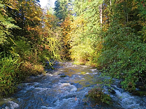 Lacamas River