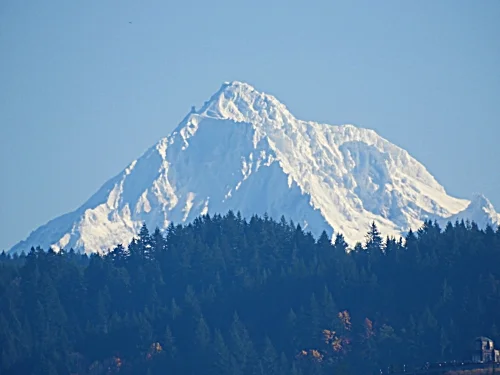 Mt. Hood