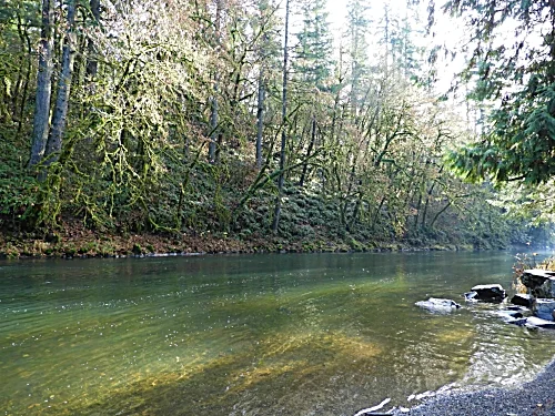 Lewis River