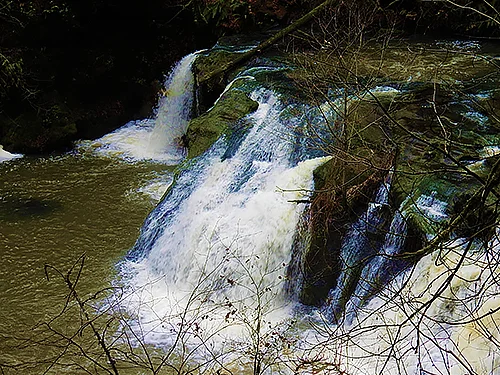 Lower Falls, Lacamas River