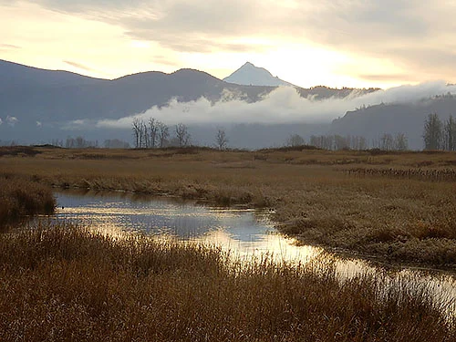 Early Morning, Steigerwald Wildlife Refuge