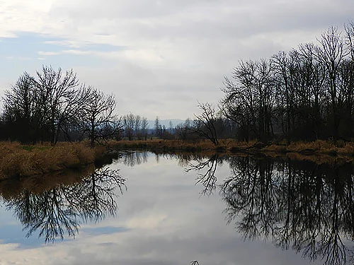 Lake, Ridgefield Wildlife Refuge