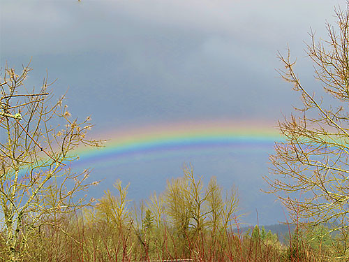 Rainbow, Steigerwald Wildlife Refuge