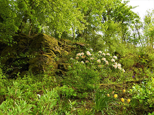 Garden, Dunvegan Castle, Isle of Skye