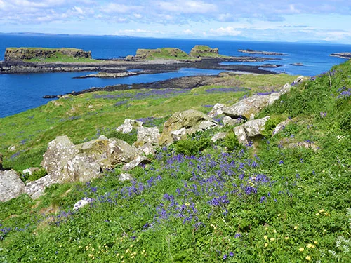 Isle of Lunga, Scotland