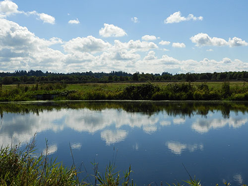 Reflection, Ridgefield Wildlife Refuge