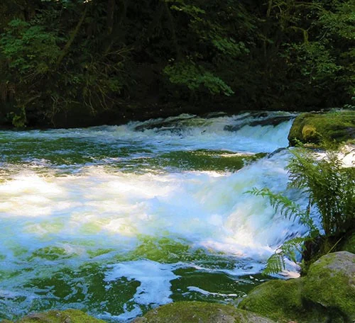 Lacamas River