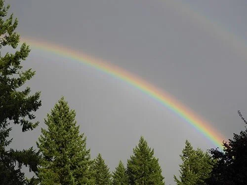 Rainbow, Neighborhood