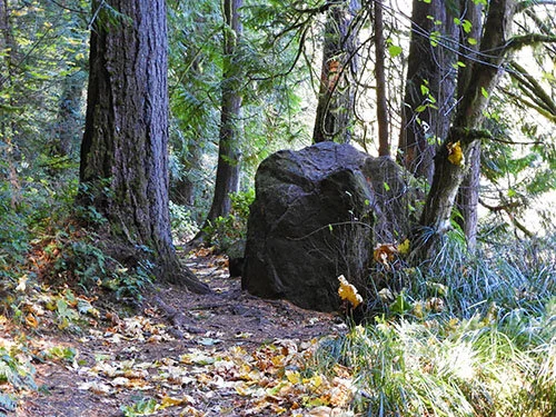Path, Battleground Lake