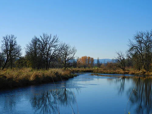 Stream, Ridgefield Wildlife Refuge