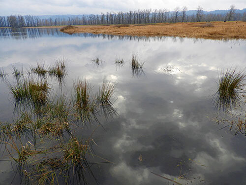 Red Tail Lake