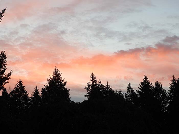 Sunrise, Neighborhood