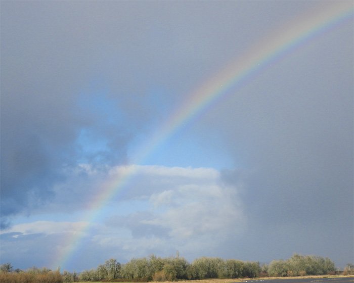 Rainbow, Steigerwald Wildlife Refuge, Washington