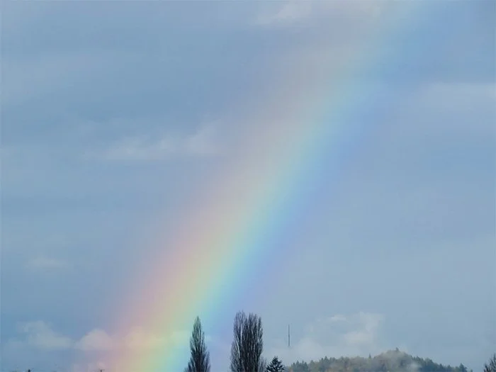 Rainbow, Neighborhood, Washington