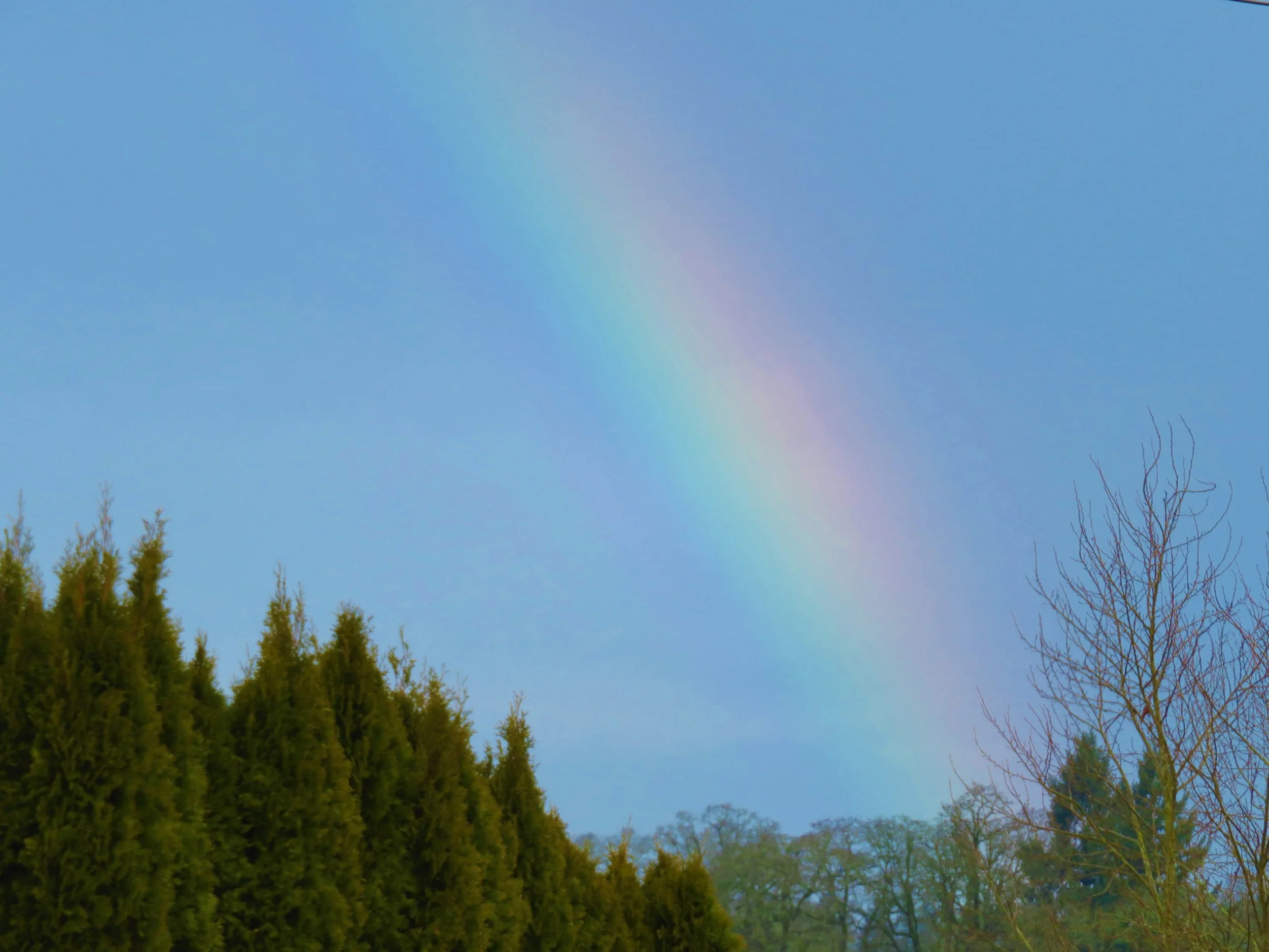 Rainbow