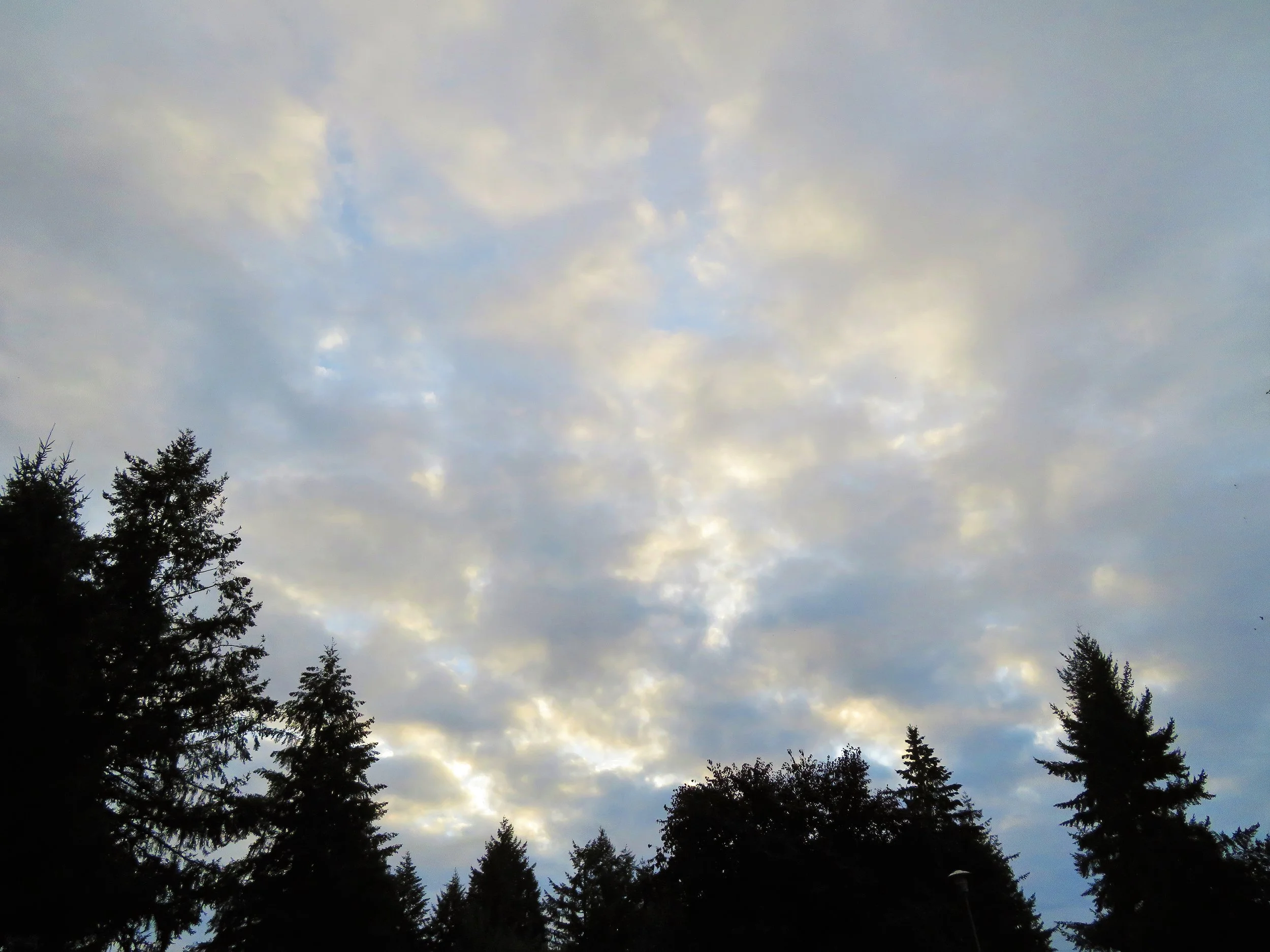 Sky