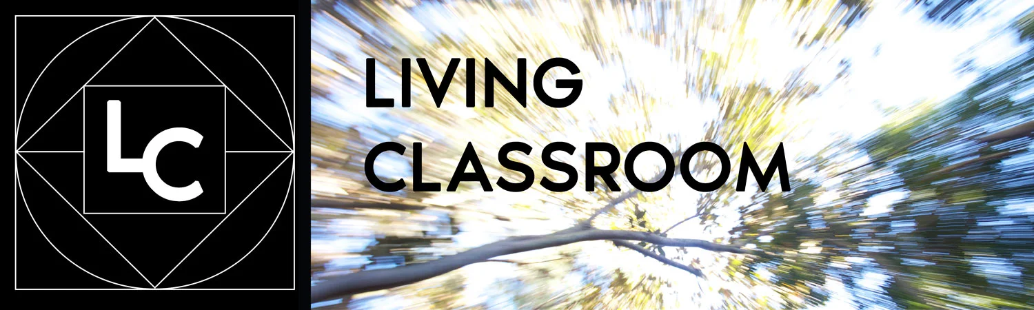 living_classroom_s_x.jpg