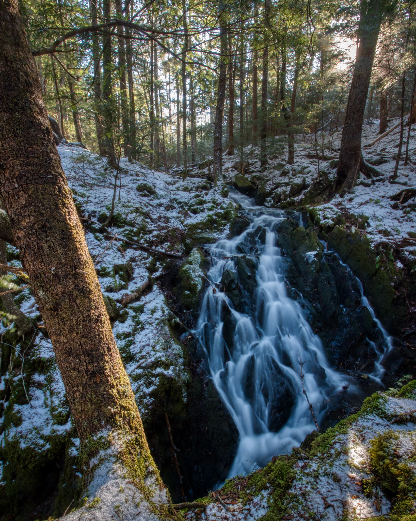 Dawson Brook Stream Waterfall