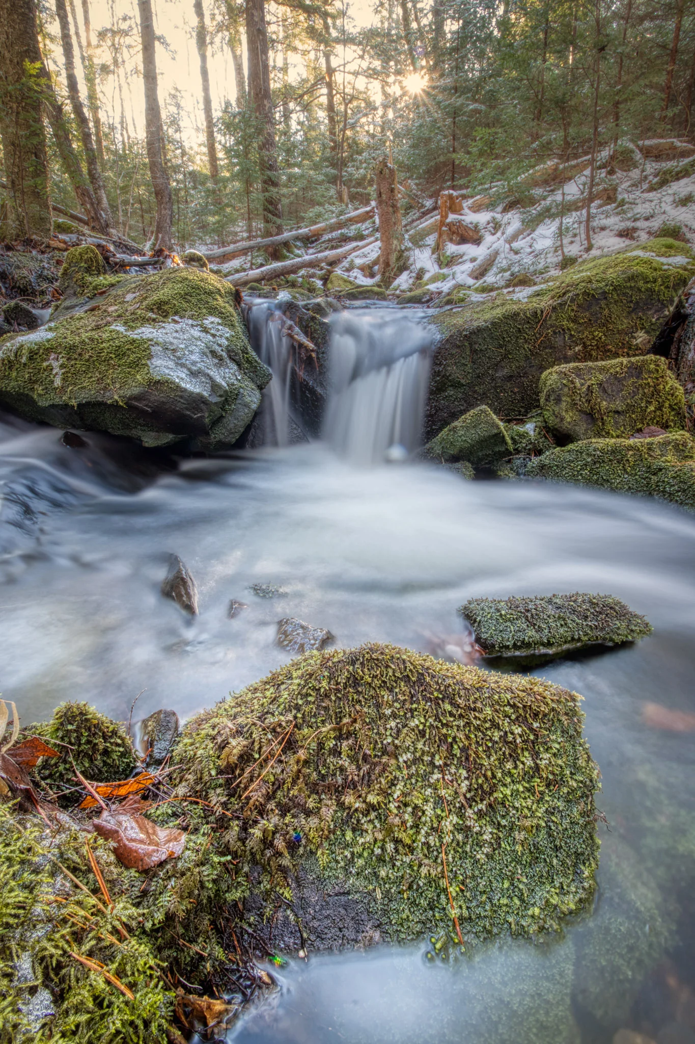 Another waterfall on the Dawson Brook Stream