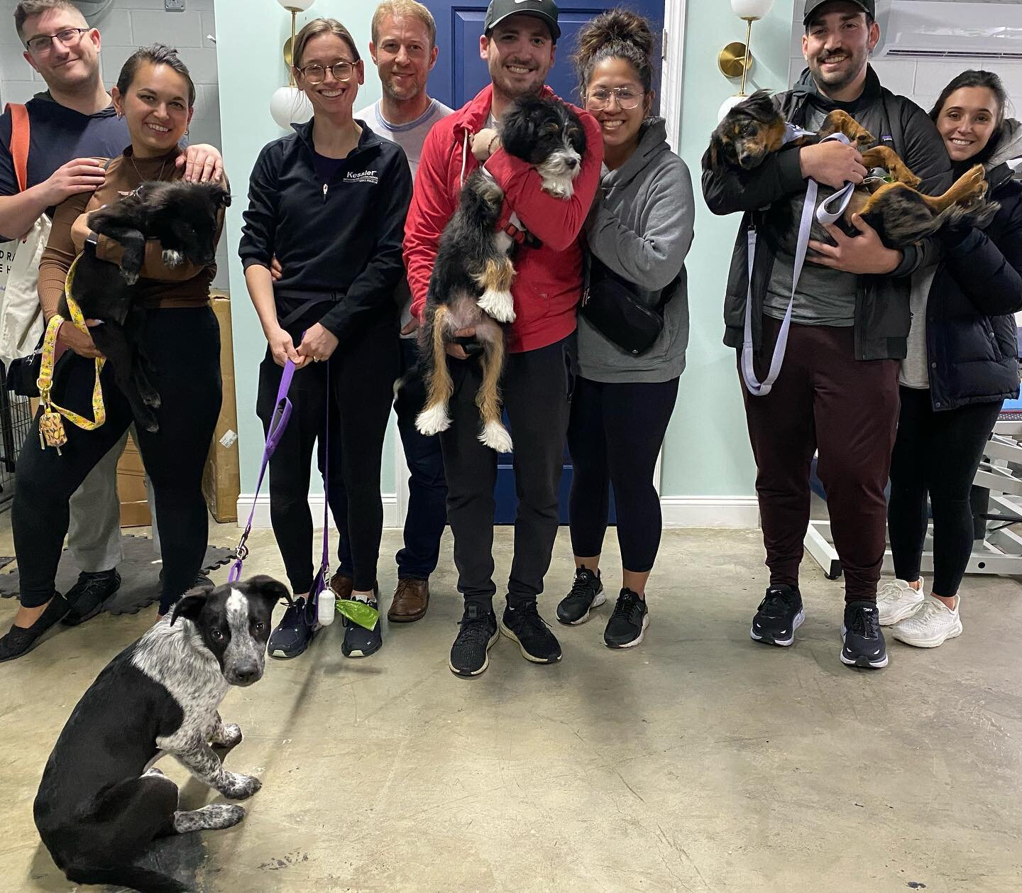 Dog Life HobokenDog Friendly Christmas Tree Farms