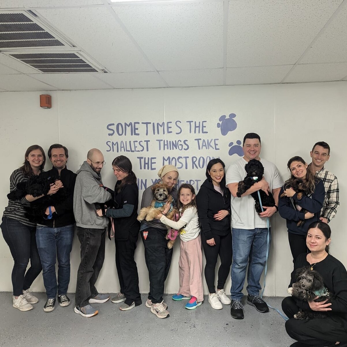 Our new puppy class was so much fun! Next class starts on March 3rd
#hoboken #jerseycity #hobokendogs #dogsofjerseycity #puppyclass #puppyschool