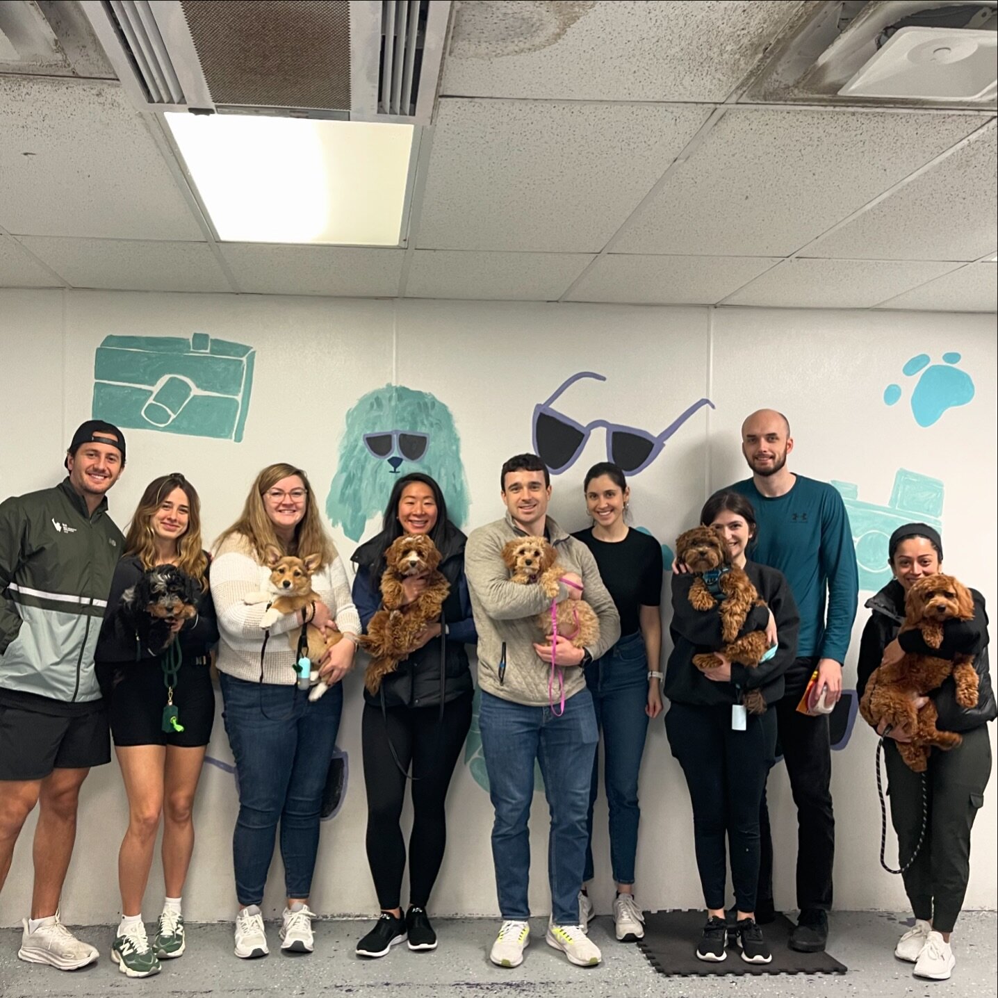 When five doodles and a corgi get together they have the best time ever!
#puppyclass #puppyschool #hoboken #jerseycity #hobokendogs #dogsofhoboken #dogsofjerseycity