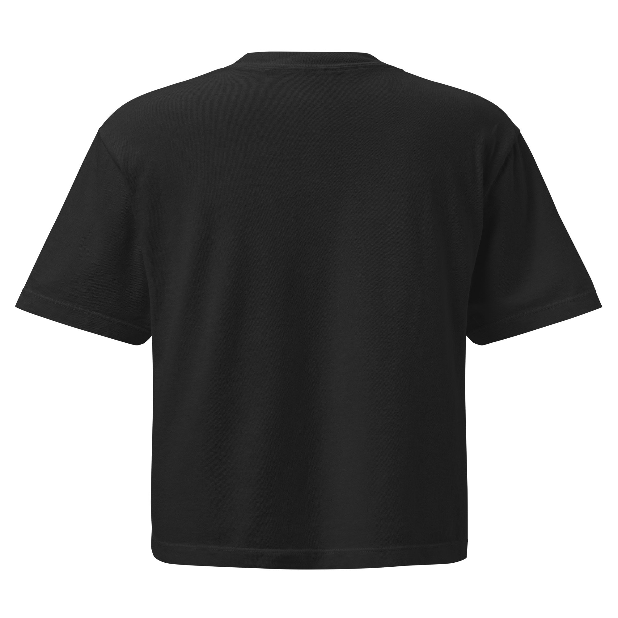 womens-heavyweight-boxy-t-shirt-black-back-69fbbd3a7558f.jpg