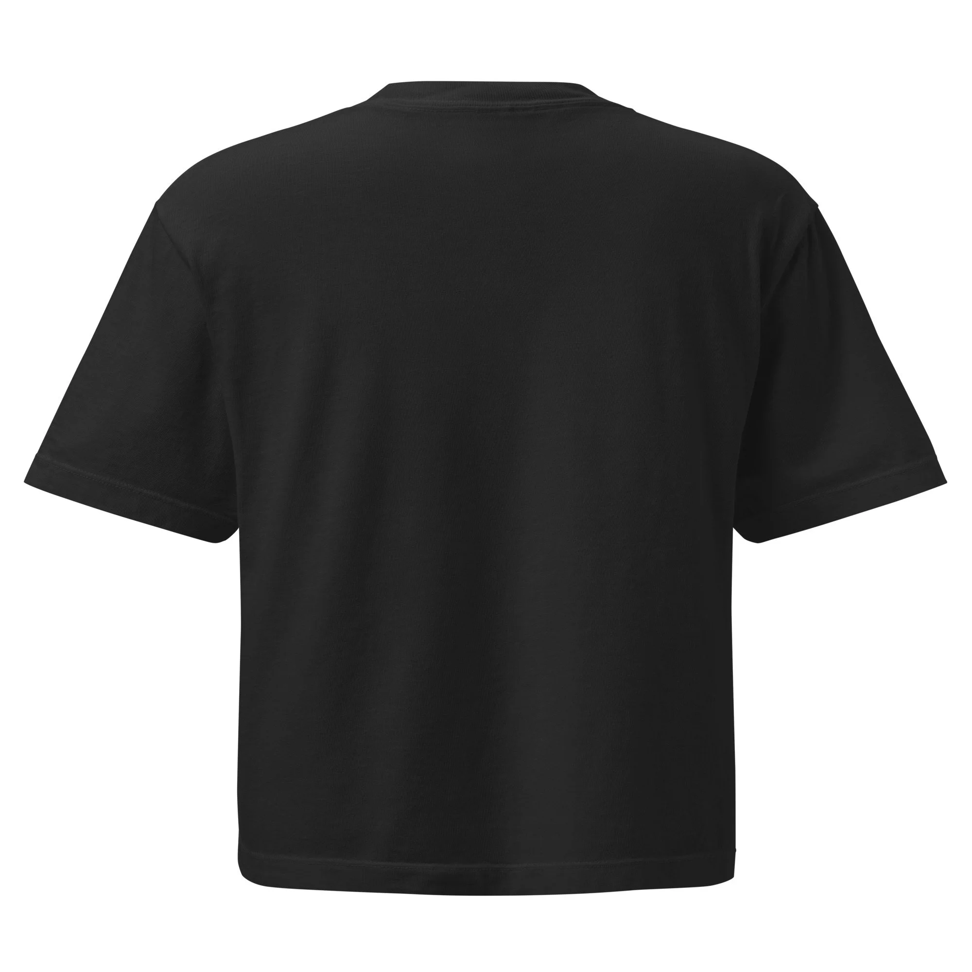 womens-heavyweight-boxy-t-shirt-black-back-6a1f3e8167559.jpg