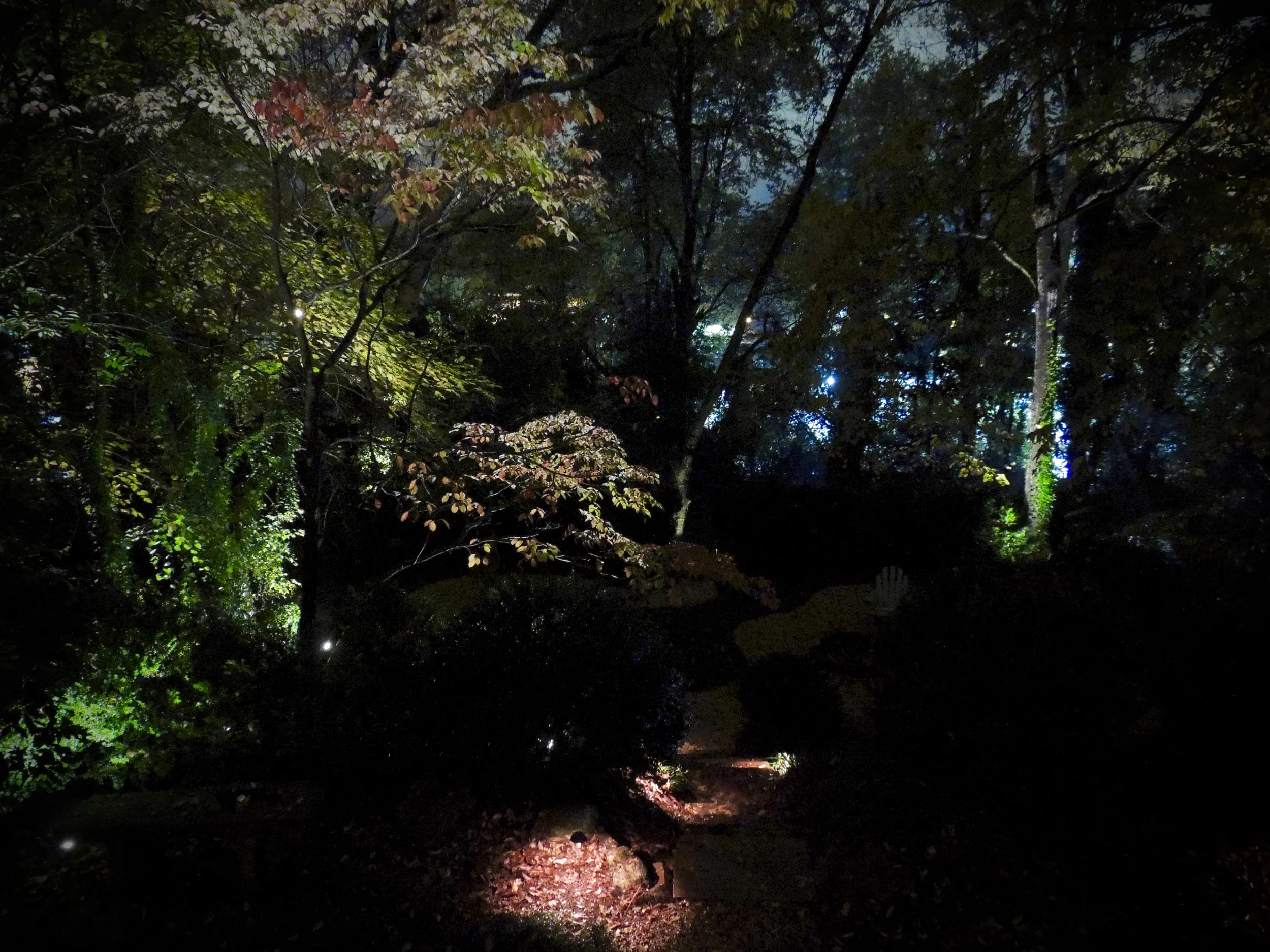 Trees and pathways are lit, but the patio needs a bit more lighting.