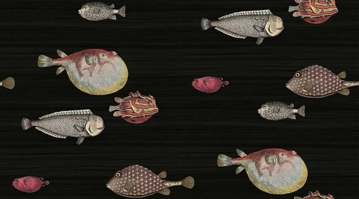Cole & Son Acquario is $223 per roll.