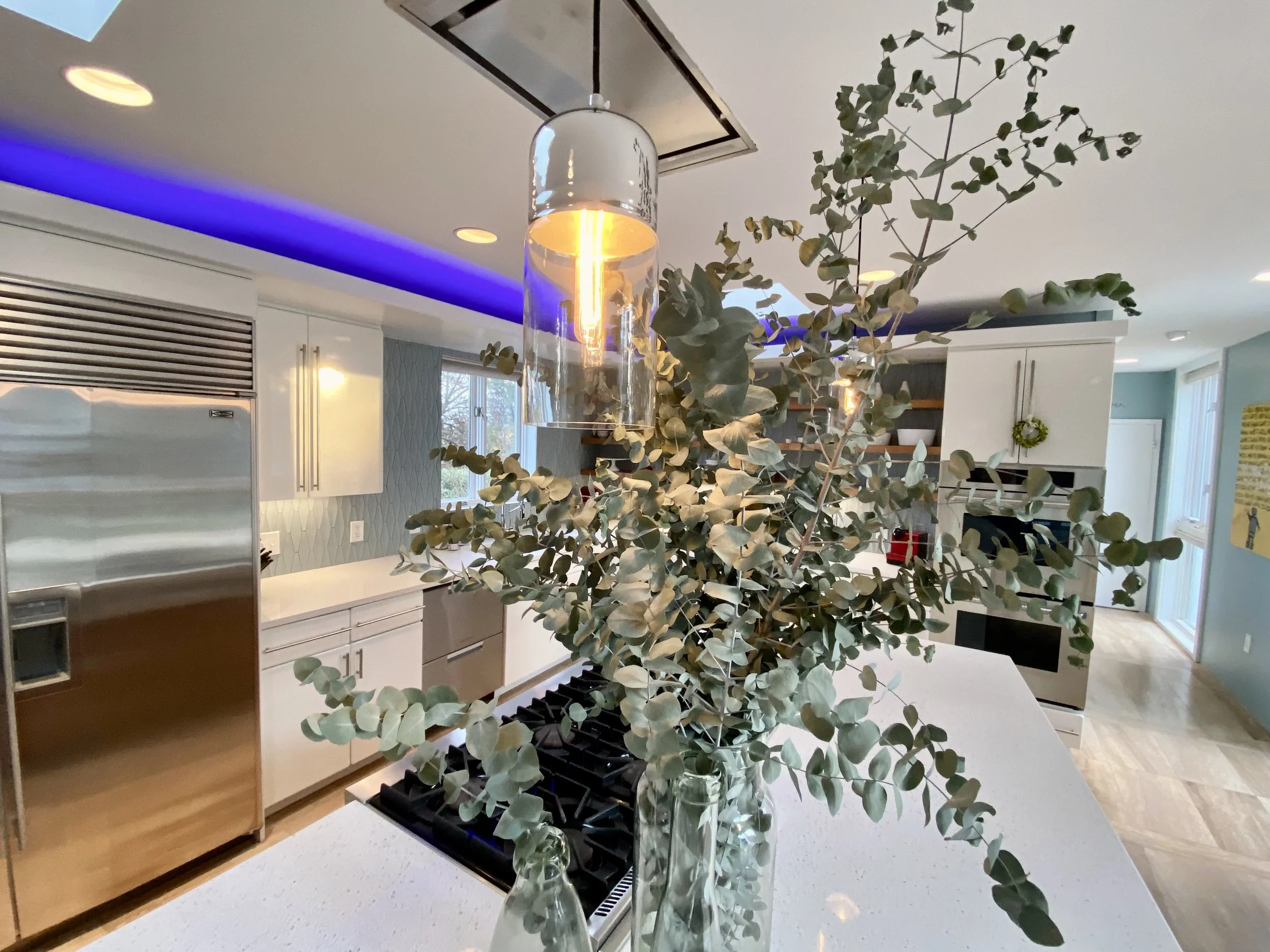 Skyhaven Kitchen Update