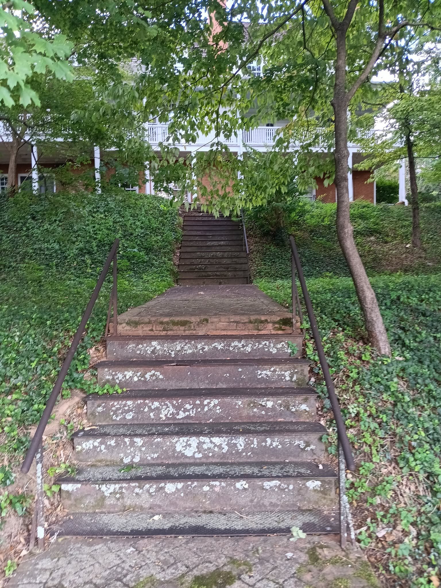 OldShorter5.jpg