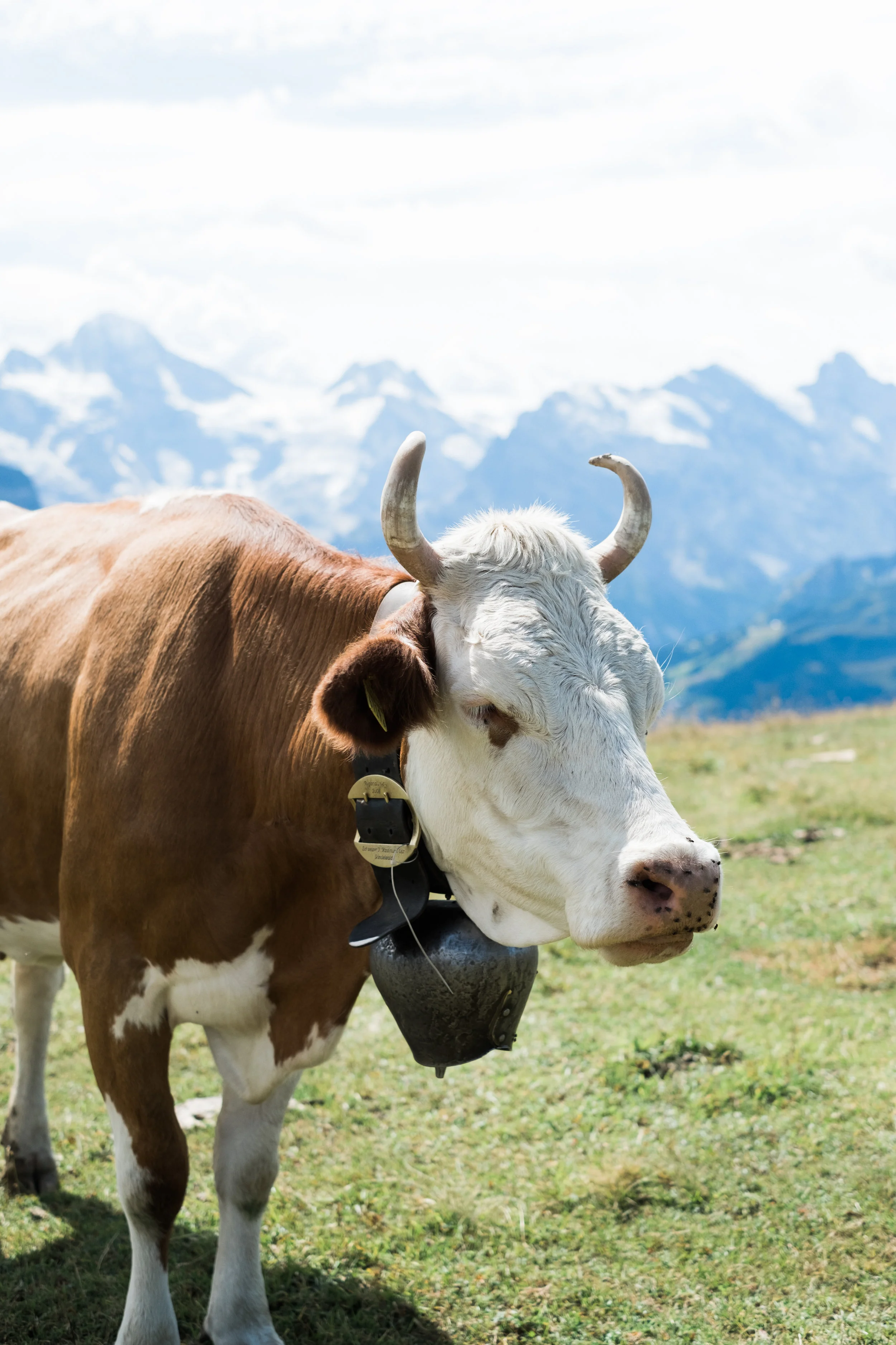 Switzerland-19.jpg