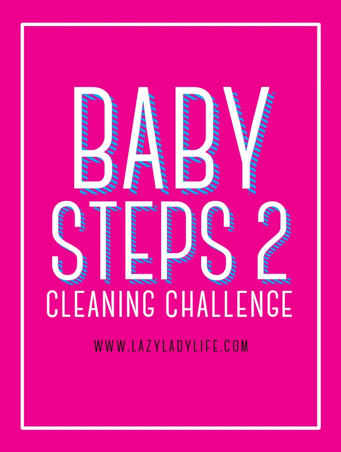 Baby Steps Cleaning Challenge 2 /// Week Three