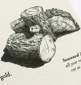 PettDaneReveal_IlloCrop.jpg