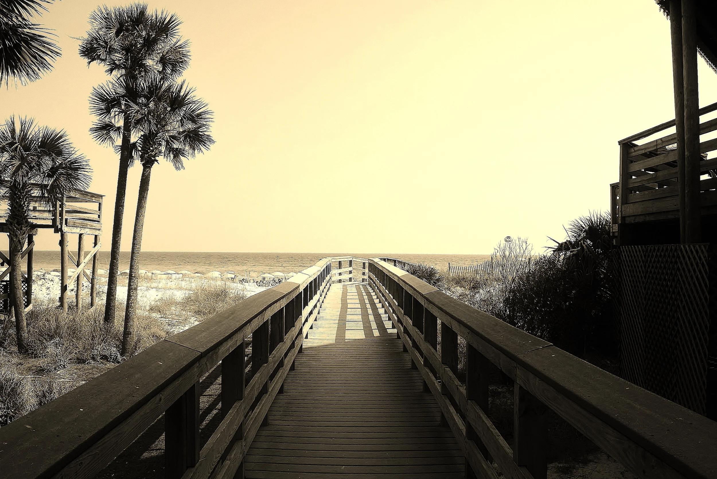 IMG_3620 - Copy number 2.JPG