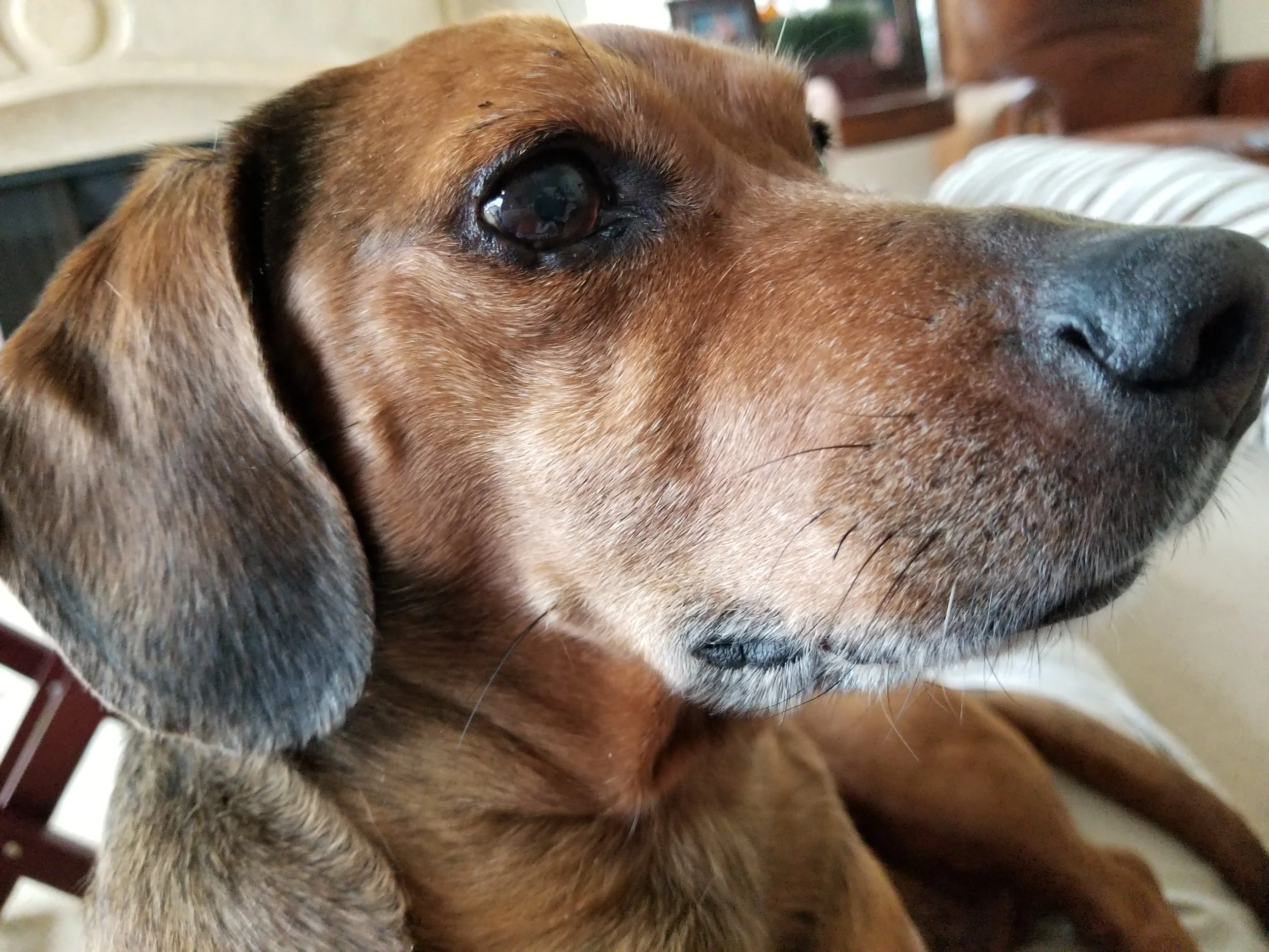 20180524_083455.jpg