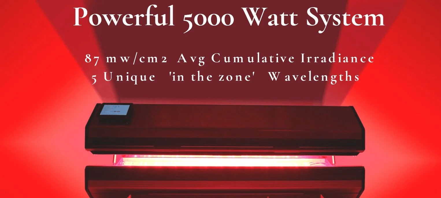 Powerful-5000-Watt-System-1-1.jpg