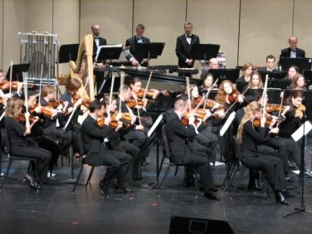 violins.jpg